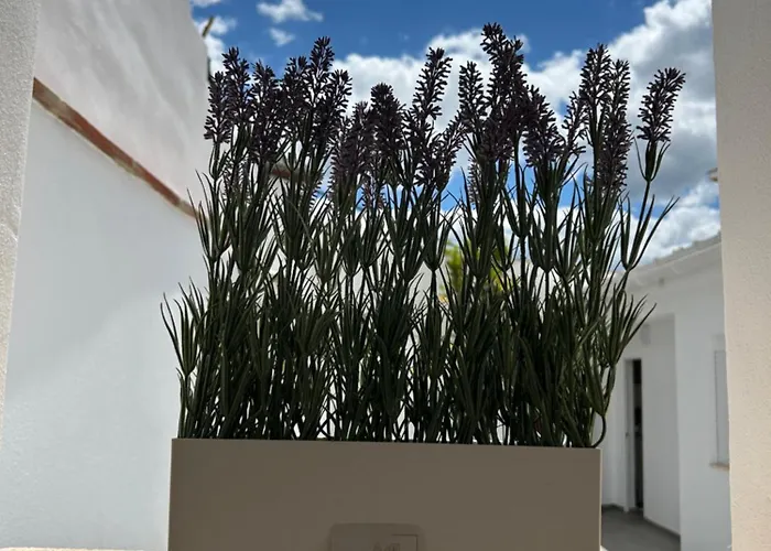 Casa Penas 2 Appartement Ronda